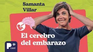 Sobre (vivir) a la crianza - El cerebro del embarazo