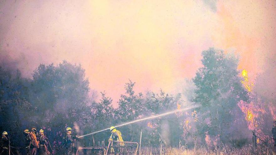 Varios bomberos se enfrentan a las llamas, ayer, en un campo zamorano.   | / EMILIO FRAILE