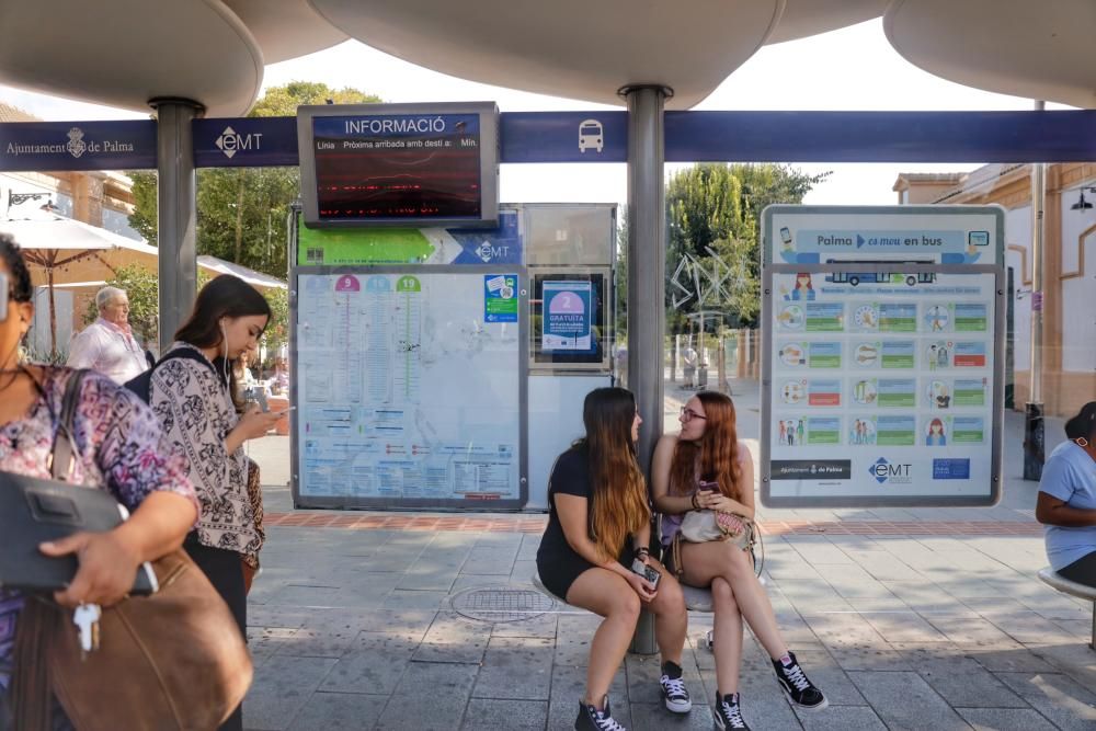 Palma celebra el Día Europeo sin Coches