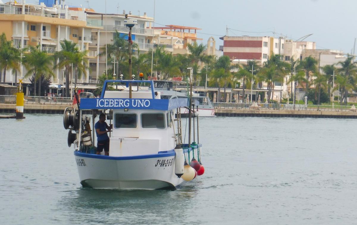 La embarcación llega al puerto con las medusas.