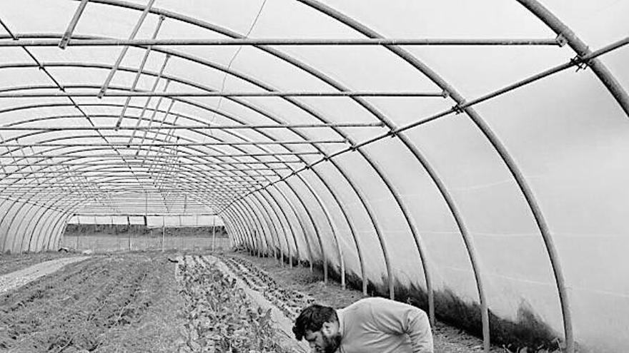 Aitor Lata Horticultura y frutales