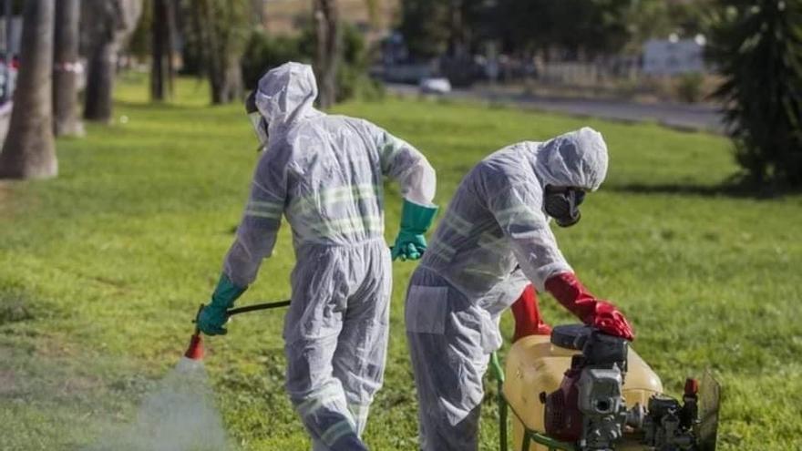 Labores de fumigación de parques y zonas verdes contra el mosquito del virus del Nilo, en foto de archivo.