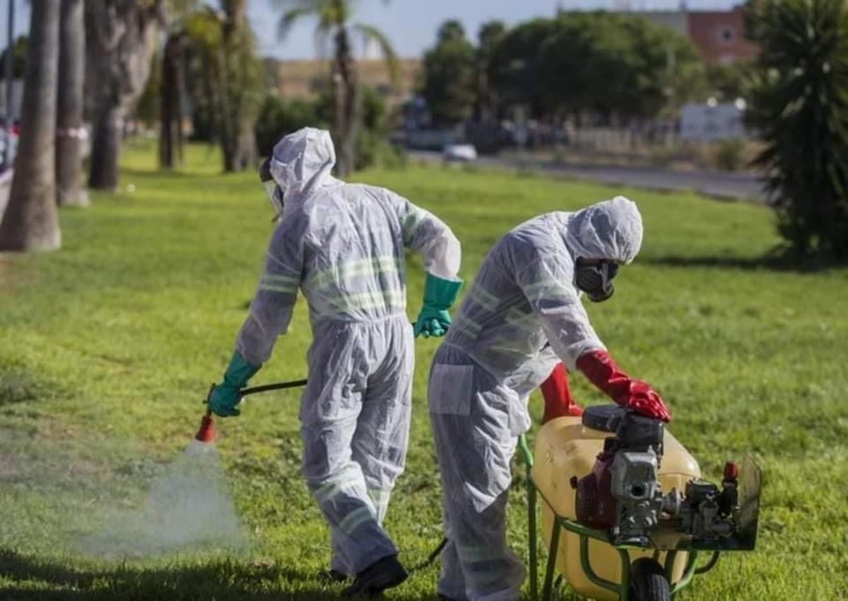 Labores de fumigación de parques y zonas verdes contra el mosquito del virus del Nilo, en foto de archivo.