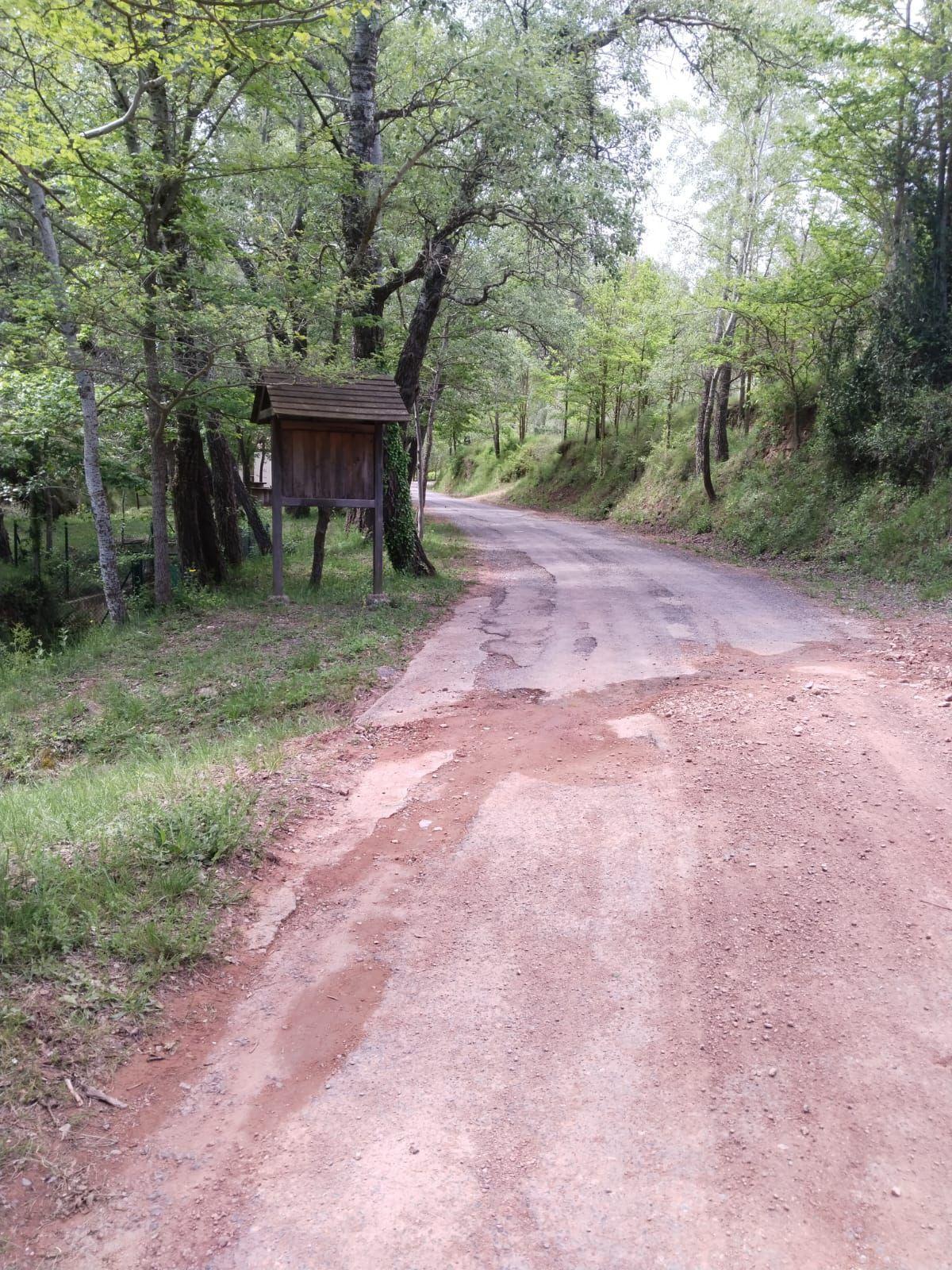 Camino forestal donde se intervendrá.