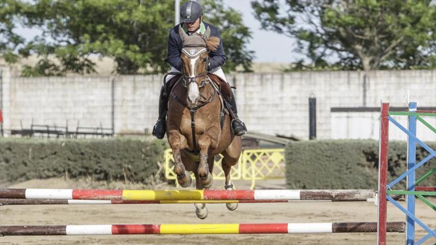 «En cualquier región se apuesta en los saltos»