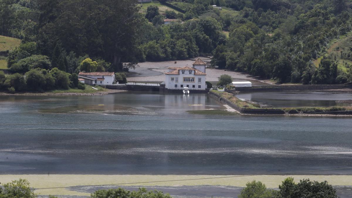 La ría de Villaviciosa se malbarata: la ruina de un entorno privilegiado asturiano