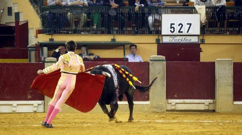 Novillada en la plaza de Toros