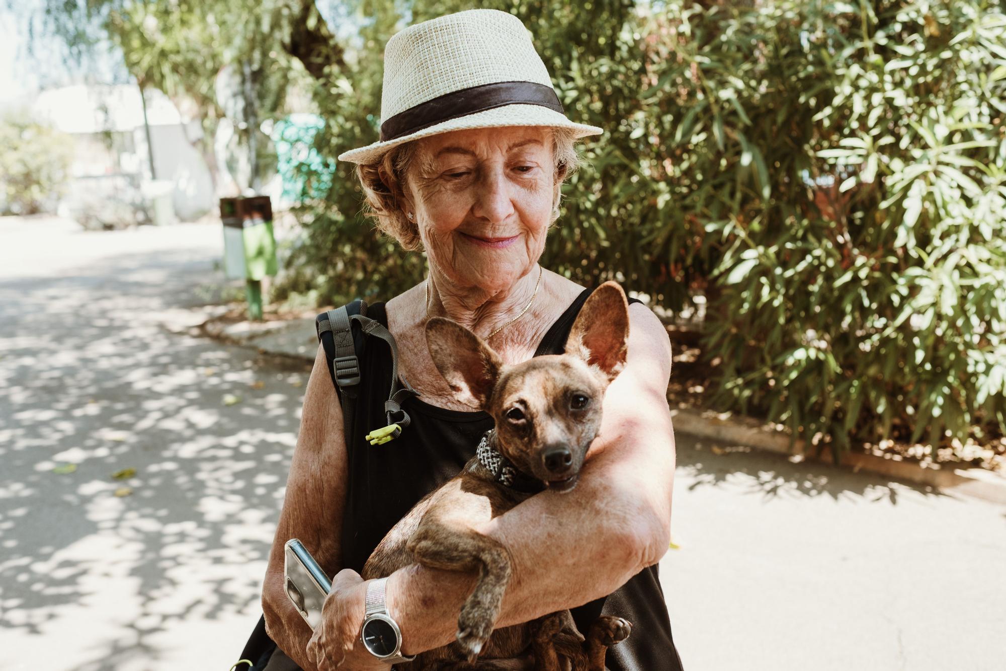 Abandono de perros y gatos en Mallorca: faltan voluntarios en Son Reus