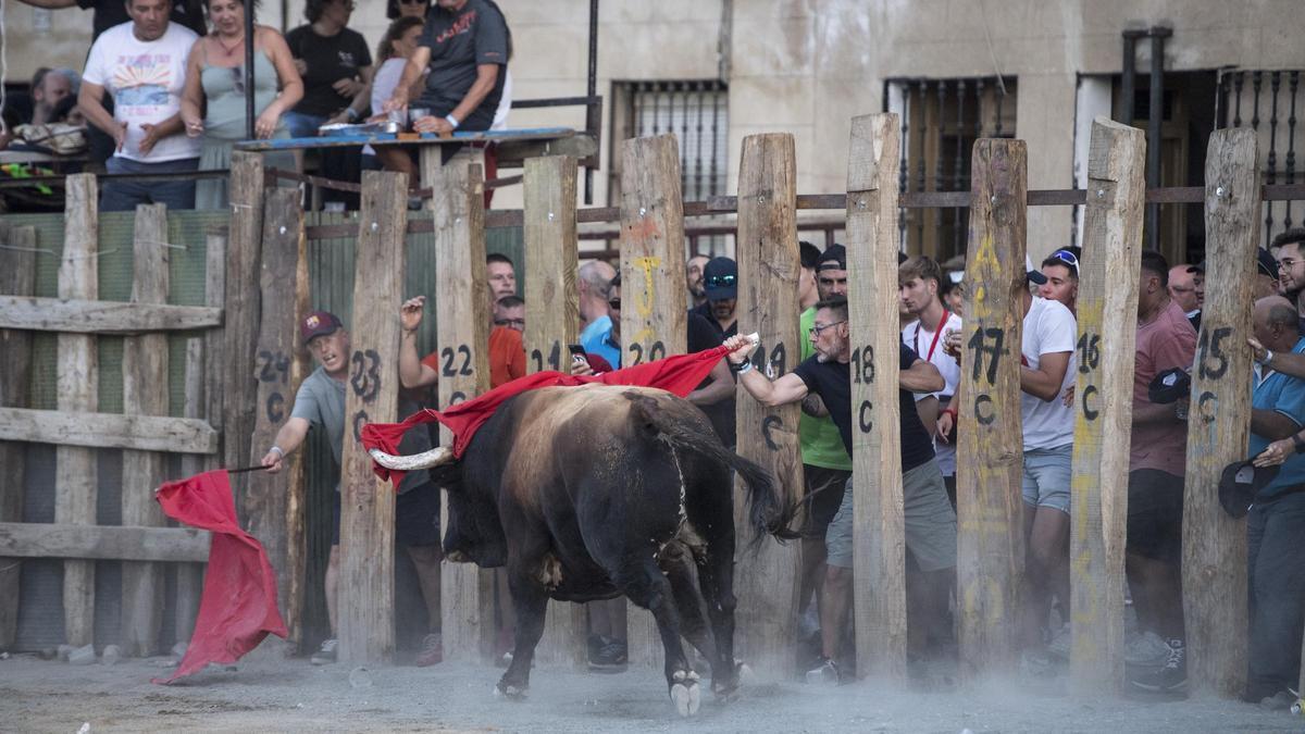 Encierro en Garrovillas de Alcónetar el pasado agosto, una localidad eminentemente taurina que se incorpora a la red.