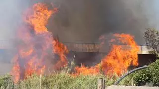 Cortan la N-340 en Almassora por el incendio en el cauce del Millars