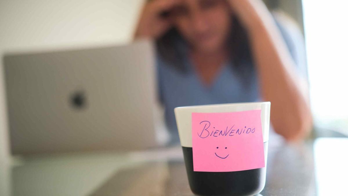 Una mujer observa la pantalla de un ordenador portátil. | |