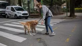 Mollet del Vallès obligará a los dueños de perros a diluir la orina con agua