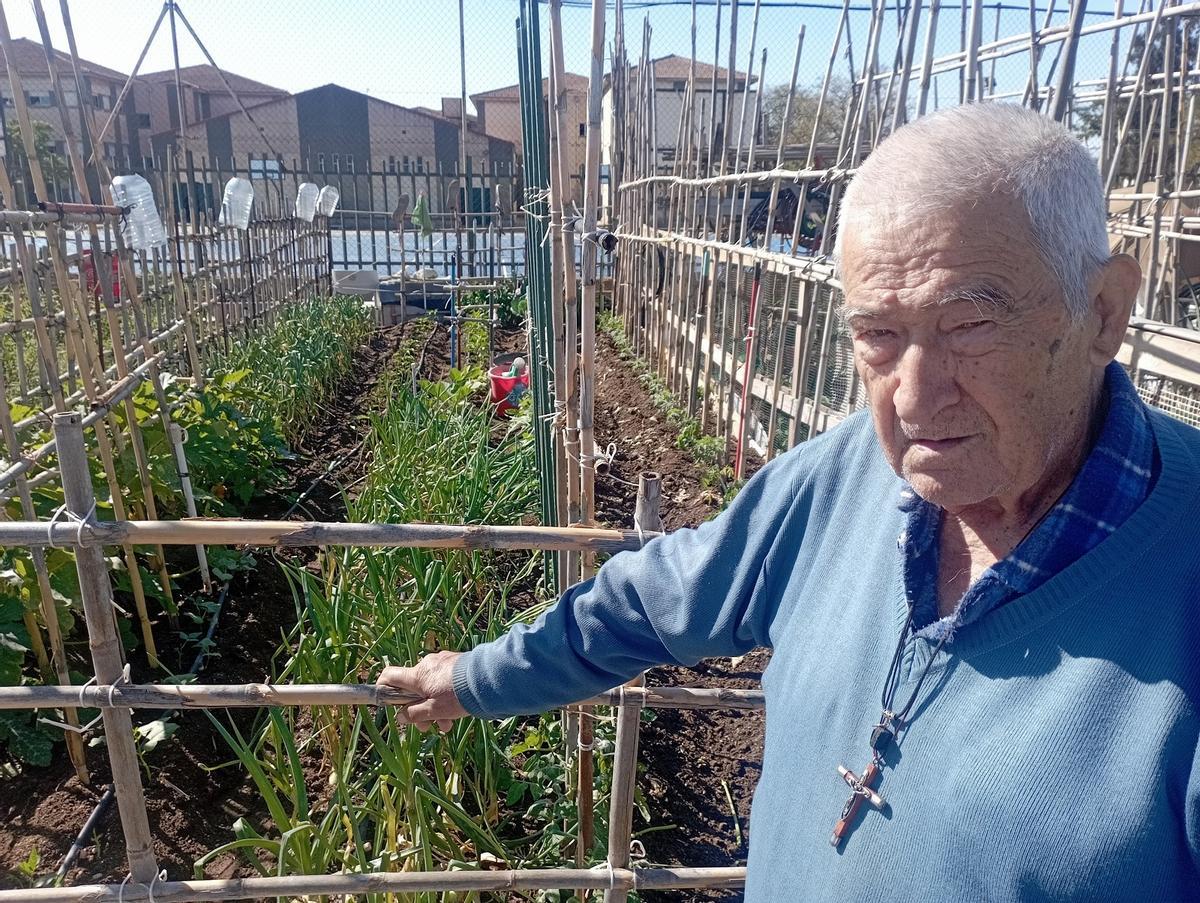 Francisco, de 81 años, muestra su parcela del huerto urbano esta semana, en Puerta de Málaga.