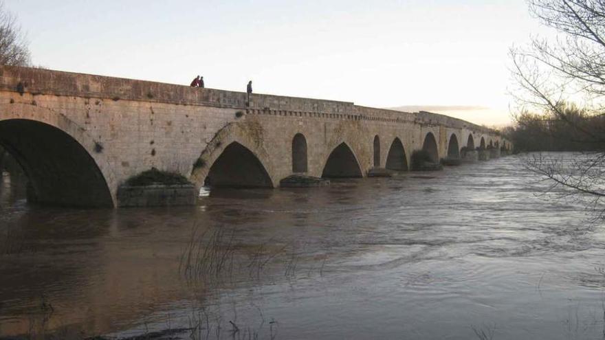 Vecinos observan desde el puente de piedra la crecida del Duero a su paso por Toro.