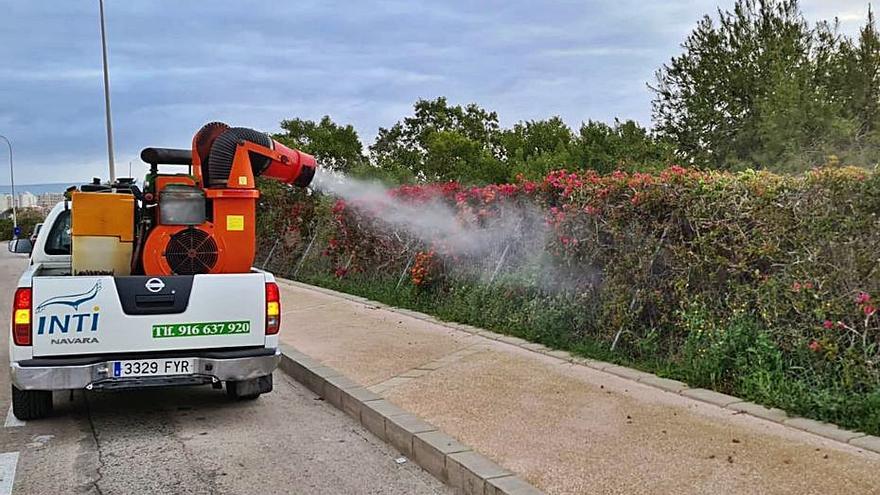 Torrevieja combatirá  la plaga de mosquitos desde el parque natural