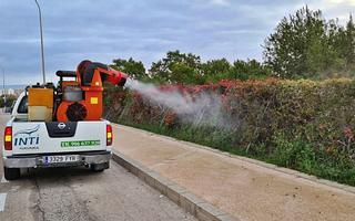 Torrevieja combatirá  la plaga de mosquitos desde el parque natural