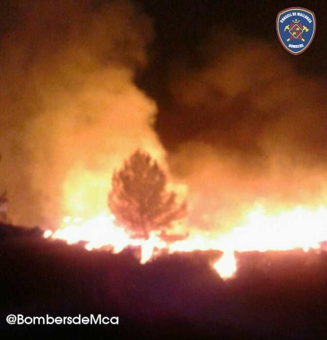 Feuer bei Pollença