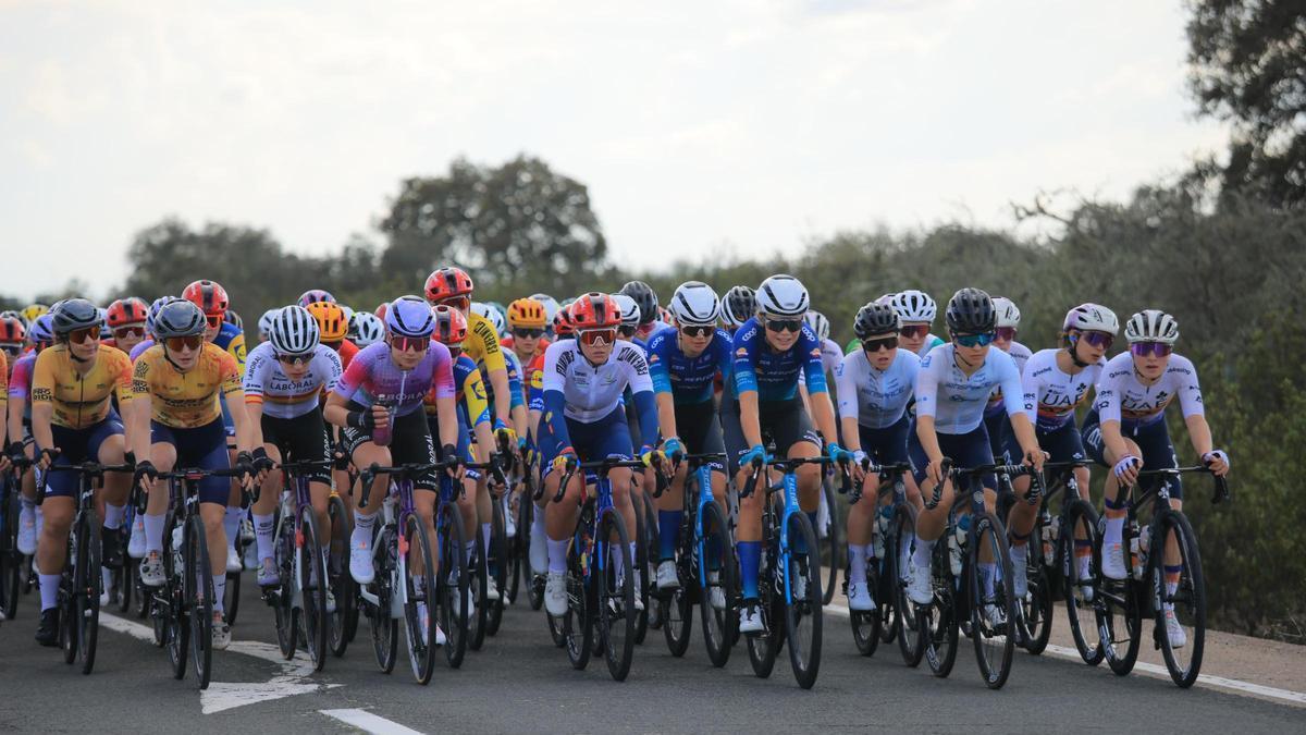 Pelotón en la anterior edición de la Vuelta Ciclista a Extremadura.