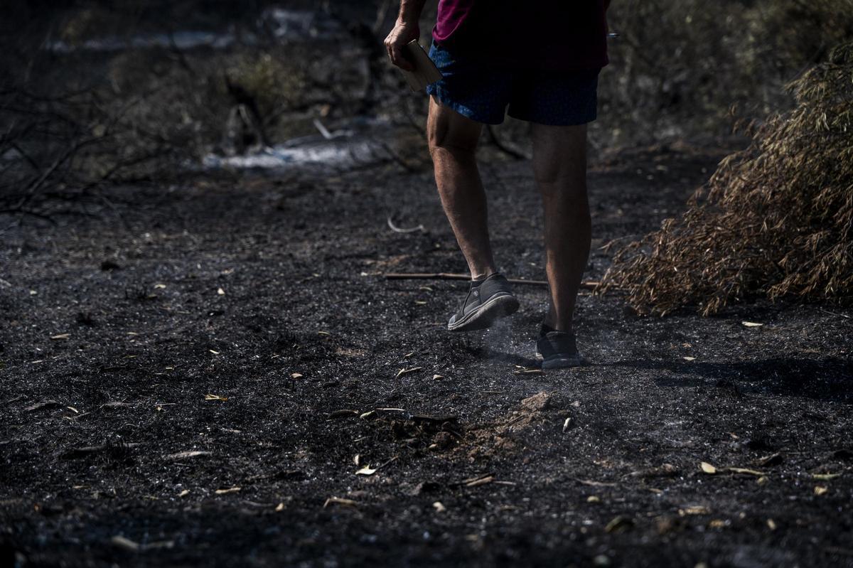 Las imágenes | Diez días de incendio en Jarilla: el adiós al paraíso verde Las imágenes | Diez días de incendio en Jarilla: el adiós al paraíso verde