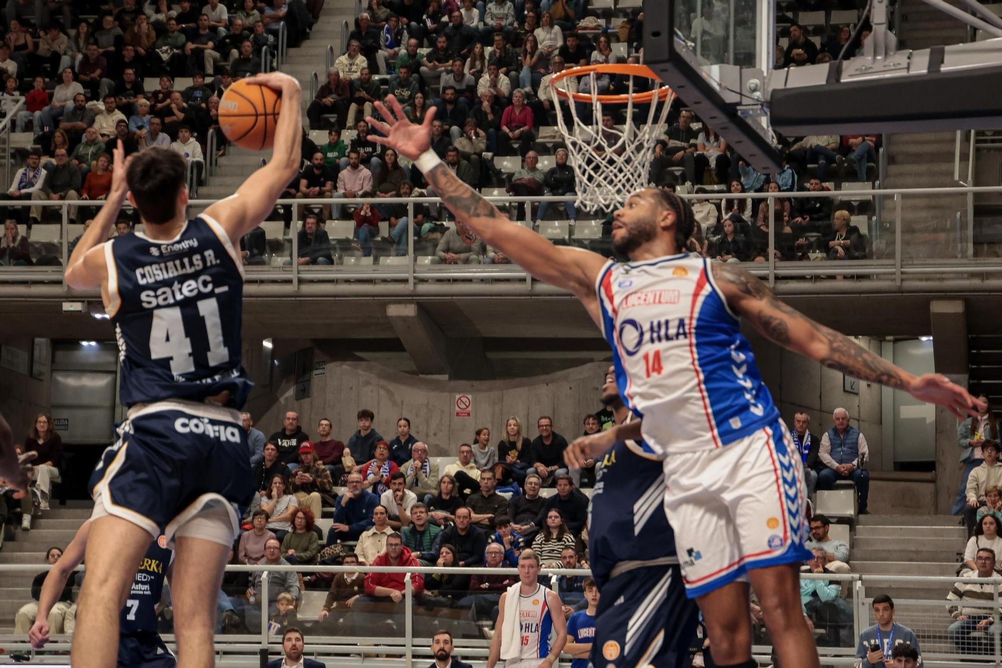 HLA Alicante - Alimerka Oviedo