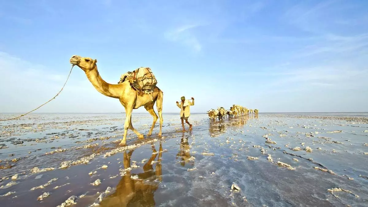 Conociendo a los Afar, la tribu que vive en el lugar mas caliente del planeta