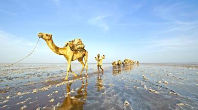 Conociendo a los Afar, la tribu que vive en el lugar mas caliente del planeta