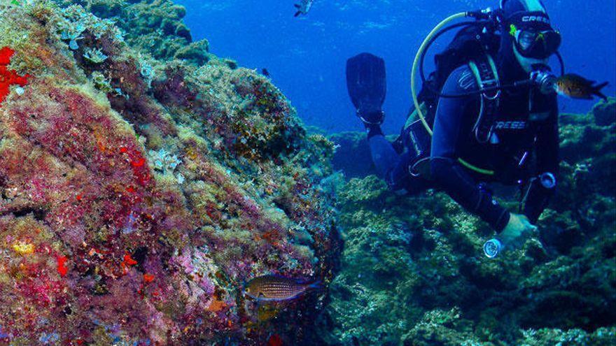 Centro de Buceo de la Armada