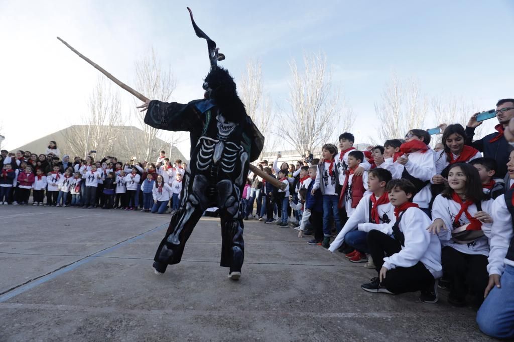 Sant Antoni 2023: Artà descorcha las celebraciones santantonieres