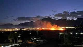 El incendio junto al río Vaca calcina un recinto con caballos en Xeraco