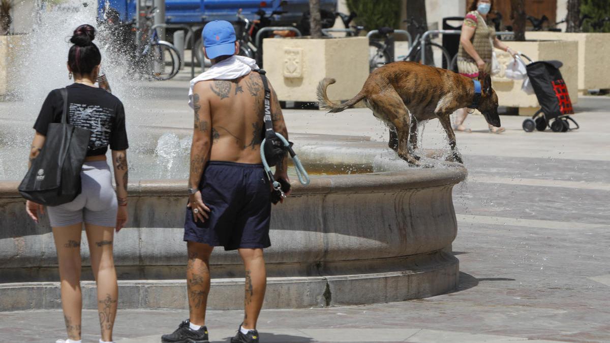 Varias personas pasean acaloradas por el centro de la ciudad mientras su perro se refresca en una fuente.