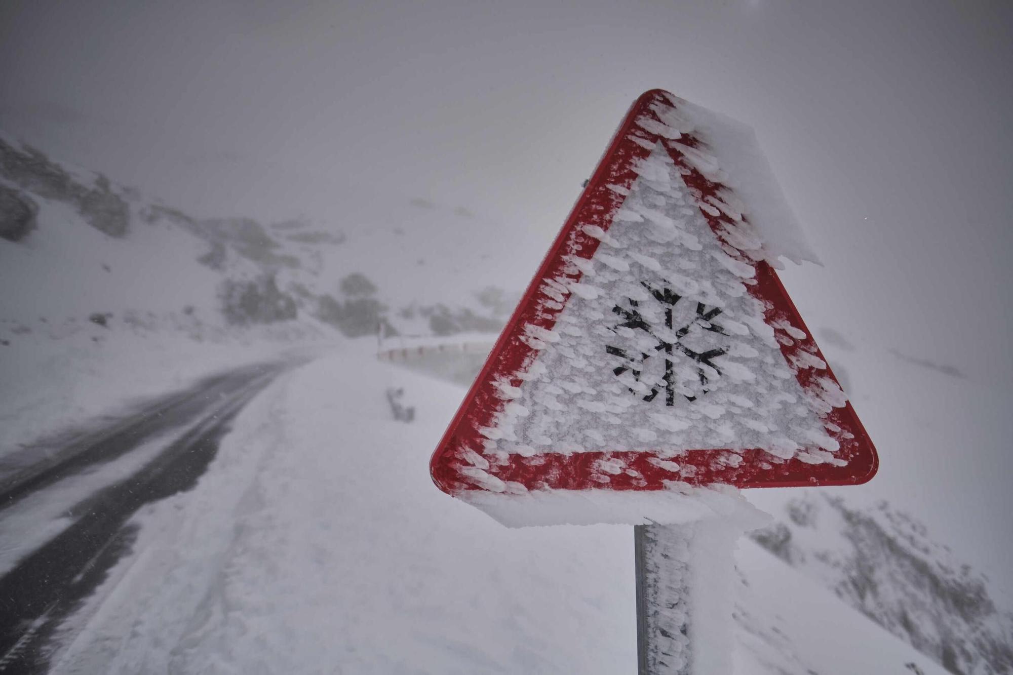 La nieve que dejó 'Filomena' en el Teide