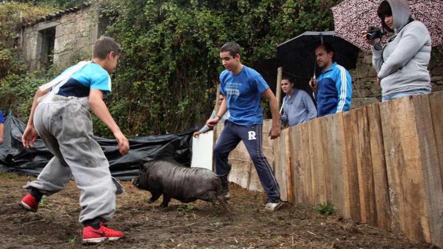 Diego Pérez y Uxío Areán, ayer, durante la competición de la &quot;Pillada do rancho&quot;. // Bernabé/Luismy