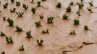 La Aemet mantiene activada la alerta amarilla en la provincia de Zaragoza por fuertes tormentas con granizo