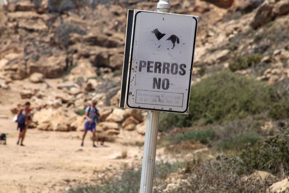 Los bañistas aseguran que no están en contra de la medida pero reclaman que se zonifique la playa para usuarios con perros y sin perros