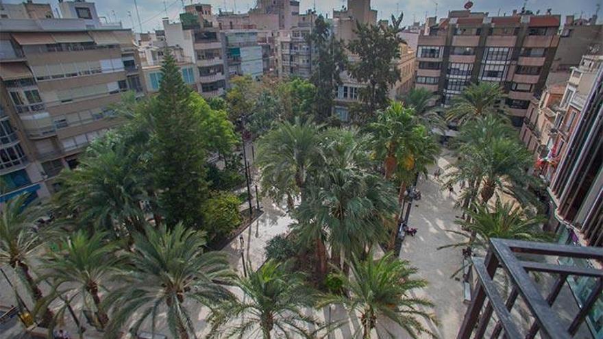 Un reto: Elche, Capital Verde Europea en el año 2030