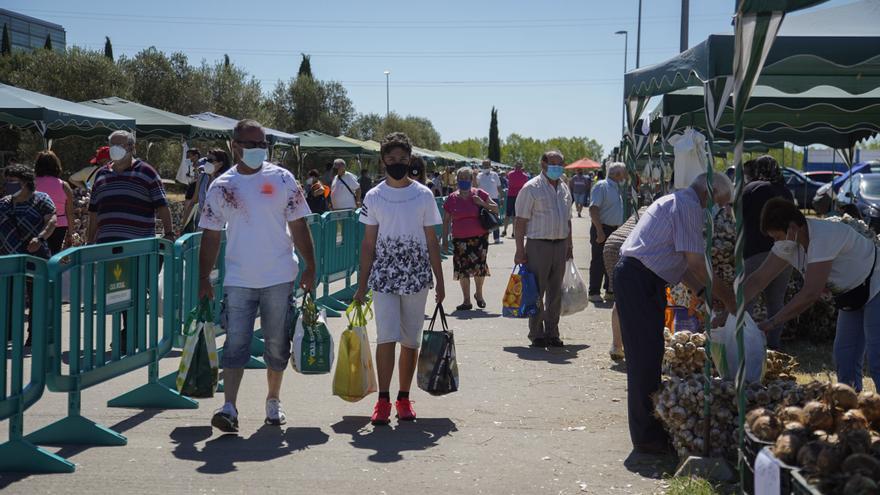 Fin de semana de la Feria del Ajo en el recinto ferial de Ifeza con autobuses