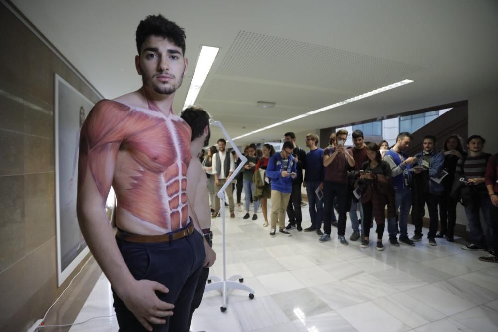 Exposición sobre 'bodypainting' en la Facultat de Medicina