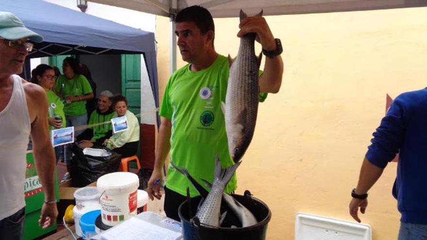 Los Colegas ganan en Gáldar