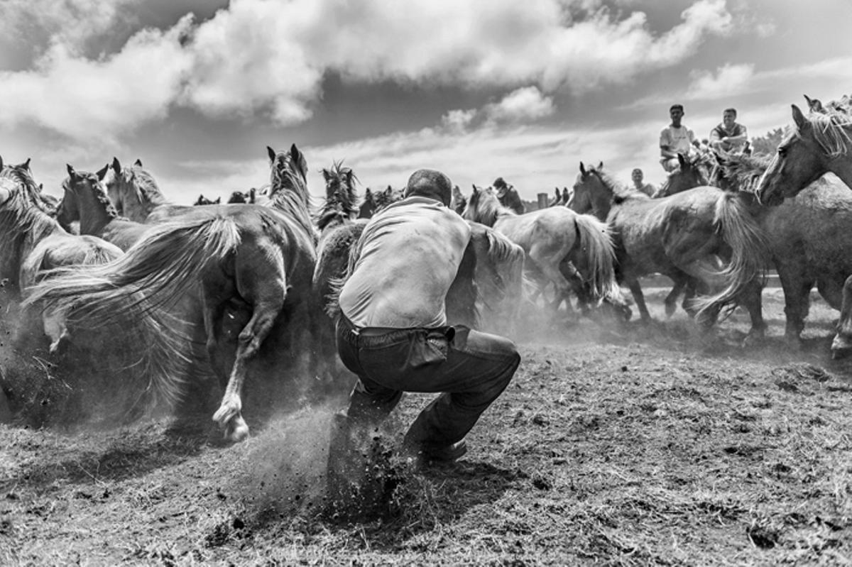 La mejor foto del año en Europa está hecha en Galicia