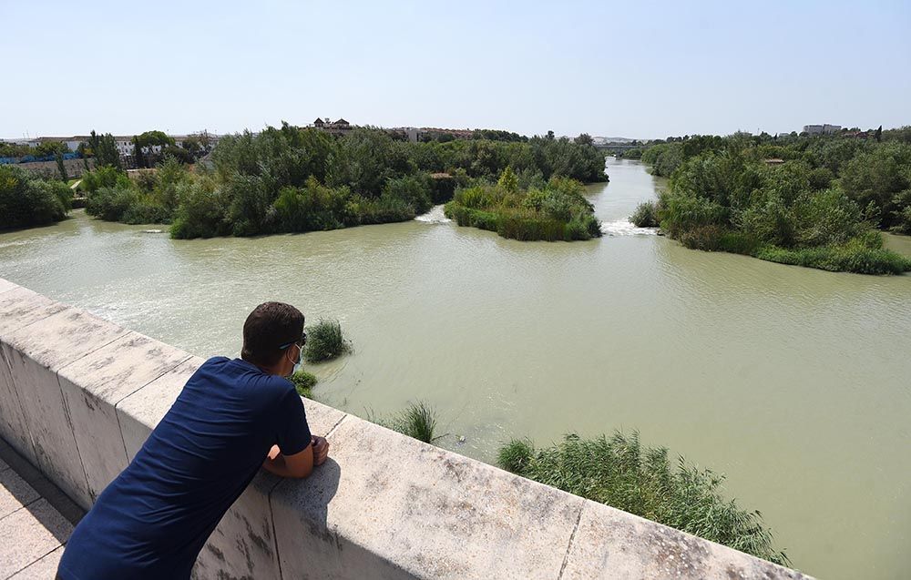 El Guadalquivir, un río frondoso a su paso por Córdoba