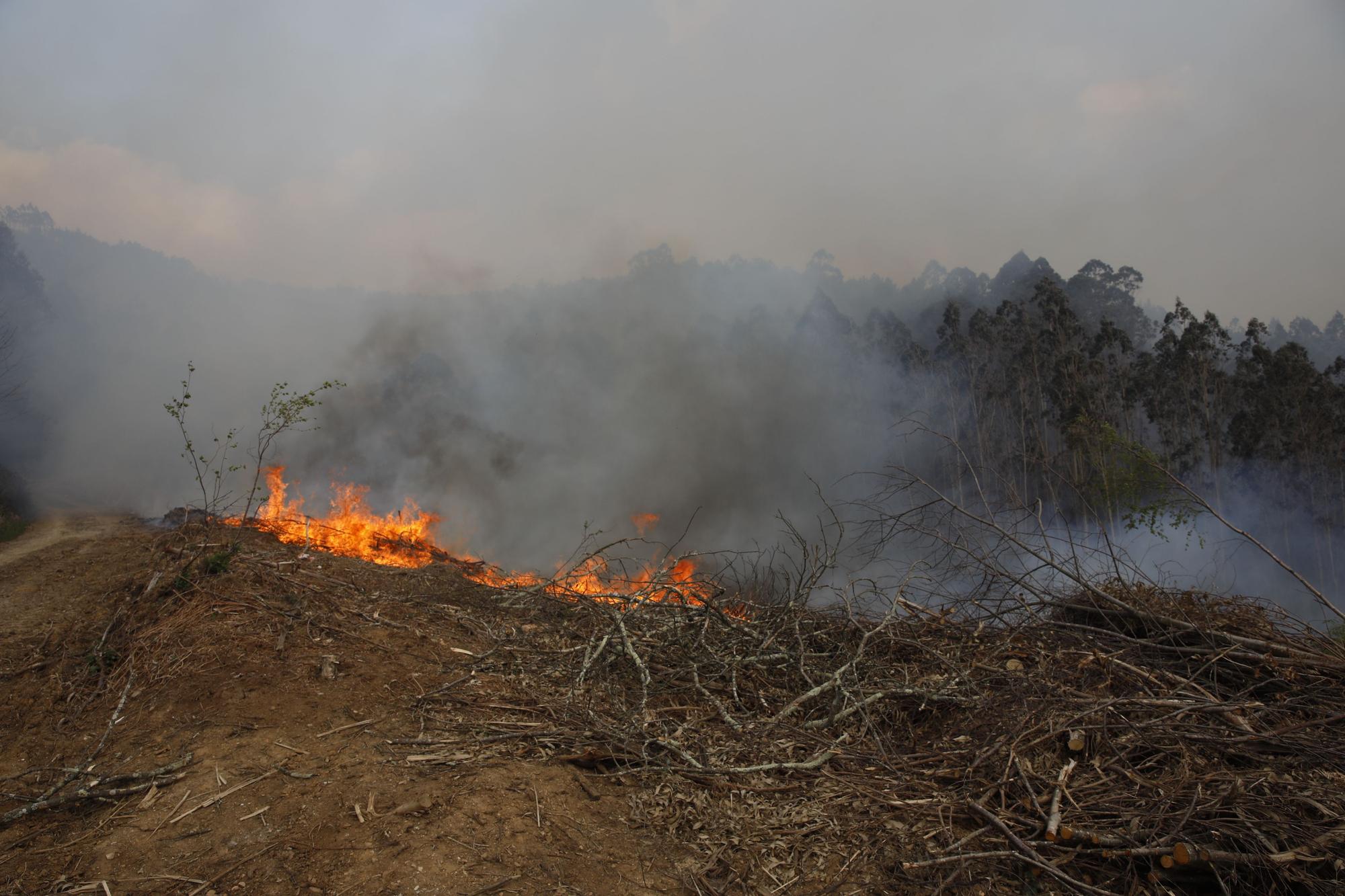 Incendio en la zona de San Pelayo de Tehona, en Valdés