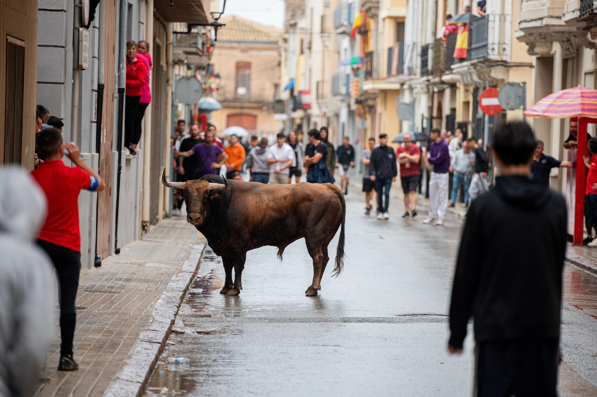 Las fotos de una tarde taurina de Almassora de luto y pasada por agua