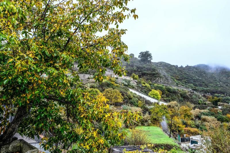 Día de lluvia en Gran Canaria (27/11/21)