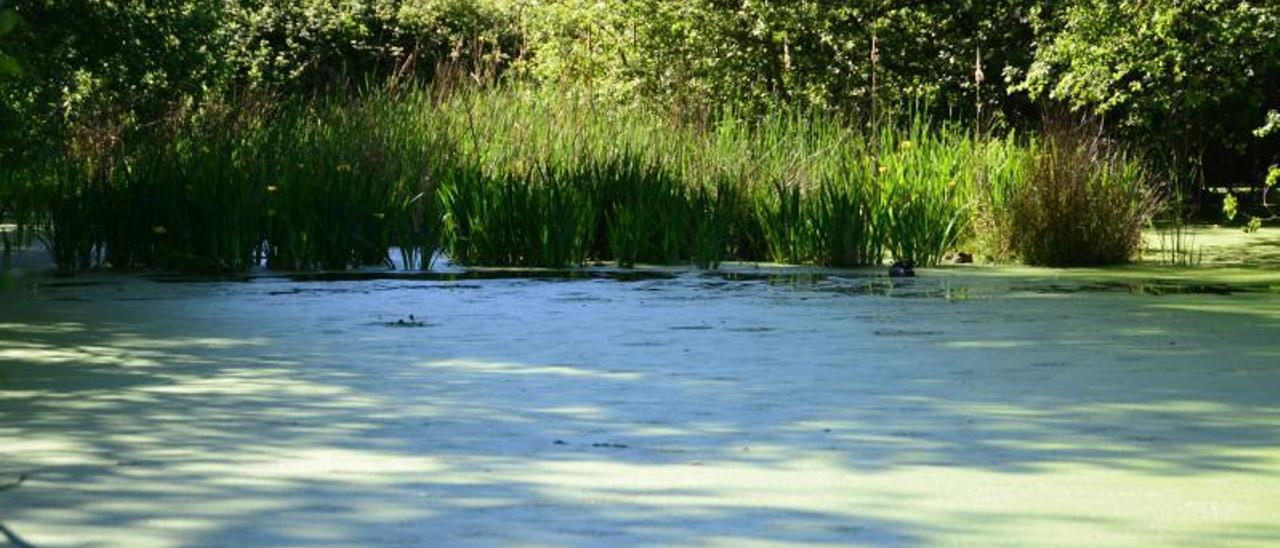 Laguna de A Congorza. |   // GONZALO NUÑE