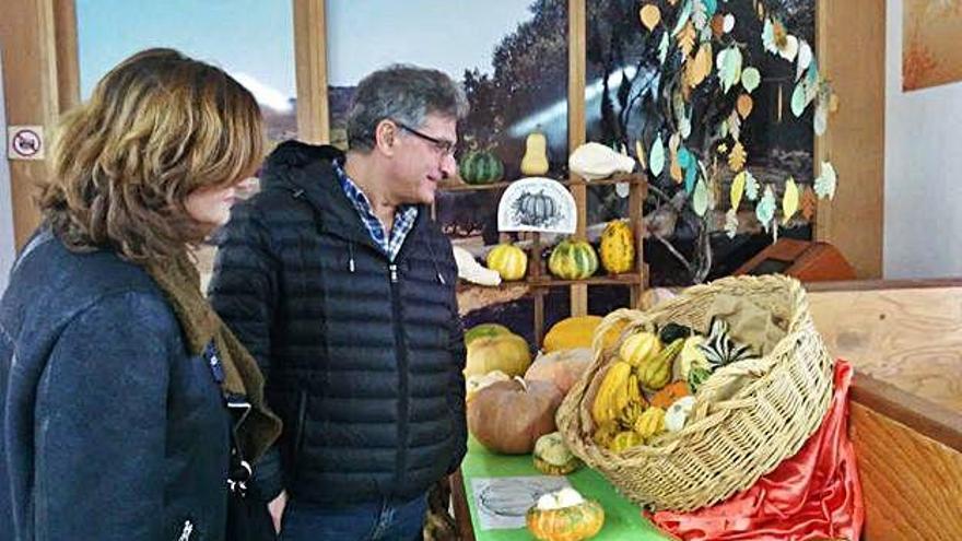 Dos visitantes a la Casa del Parque de Fermoselle observan la muestra de calabazas. A.