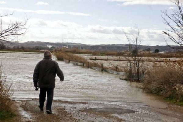 Fotogalería: La crecida del Ebro a su paso por Zaragoza