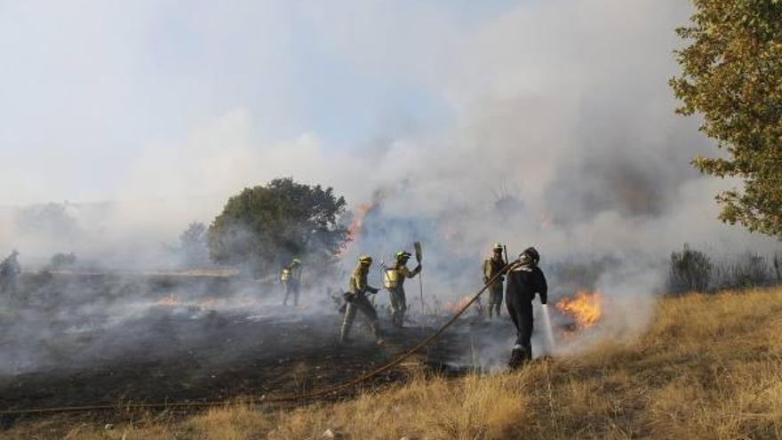 Extinción de un incendio registrado en el mes de octubre en la comarca de Sanabria.