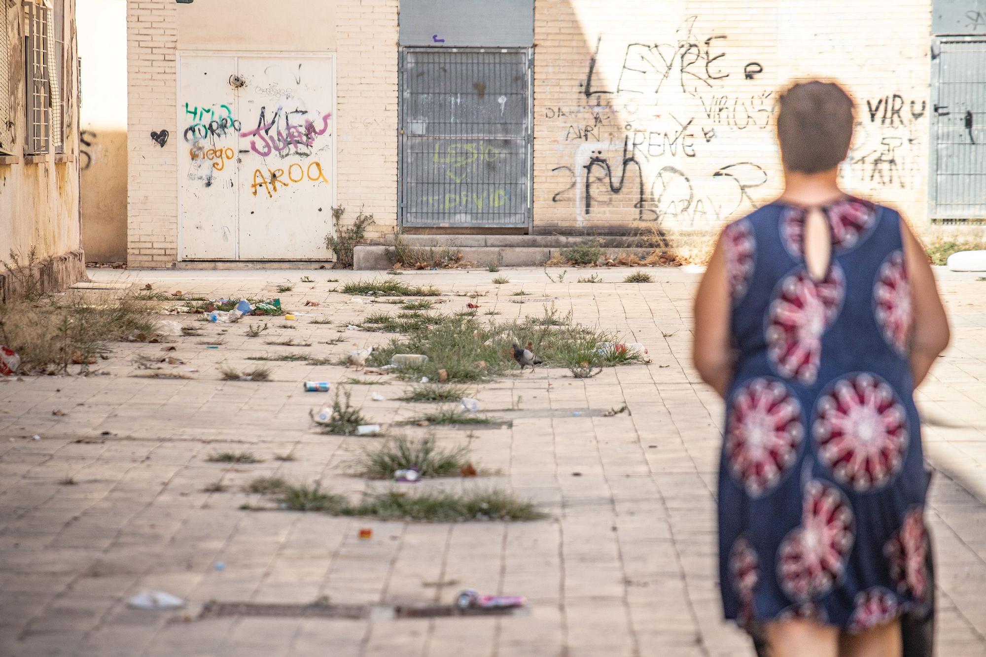 Quejas por la plaga de palomas en Miguel Hernández