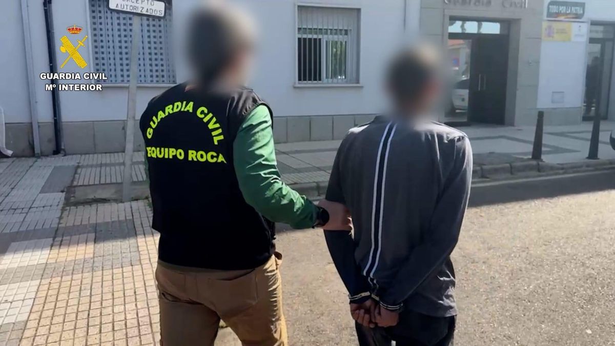 Detenido un vecino de Calamonte por varios robos de cable de cobre que llegaron a paralizar el servicio de tren