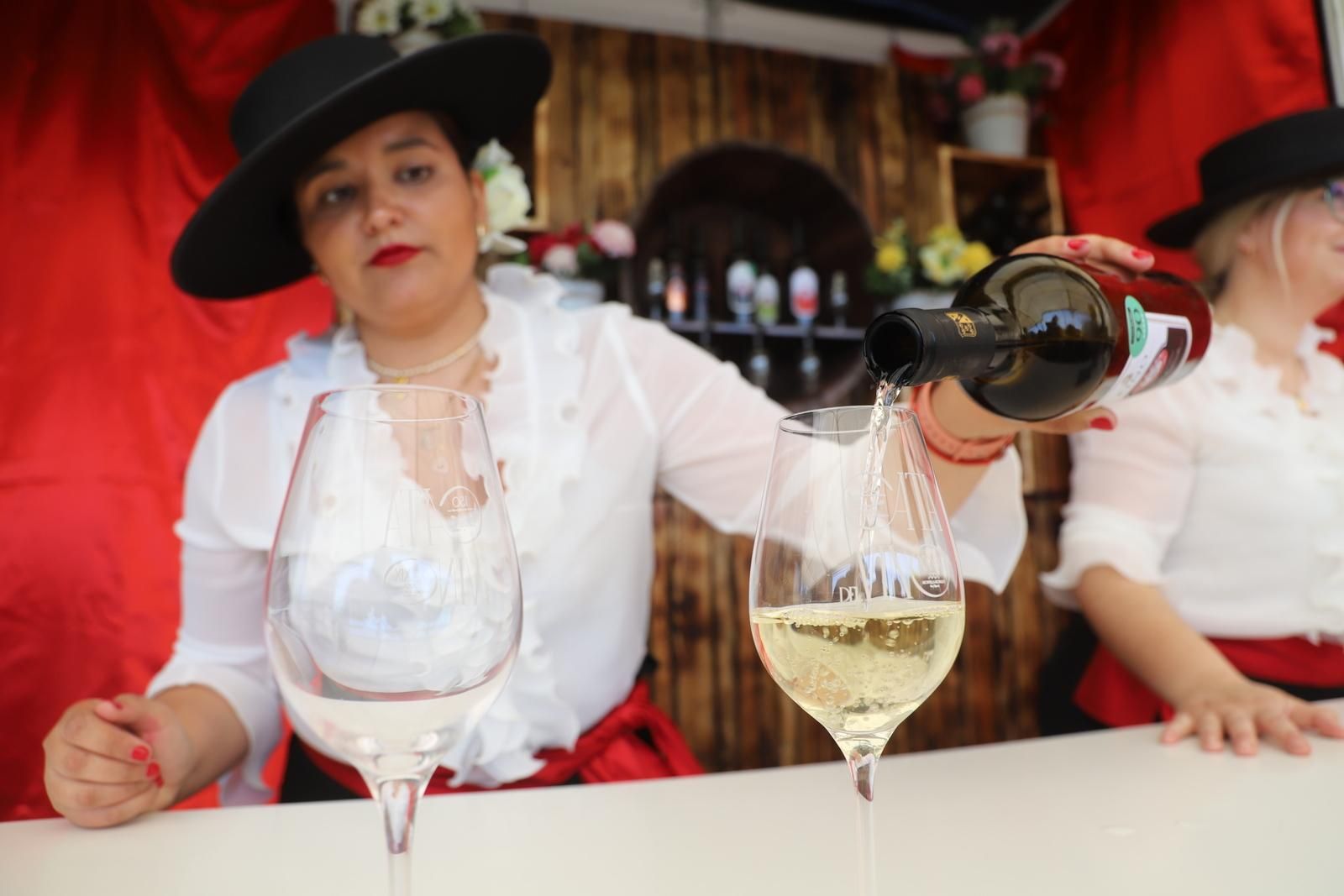 Sábado de Cata del Vino en Córdoba, en imágenes